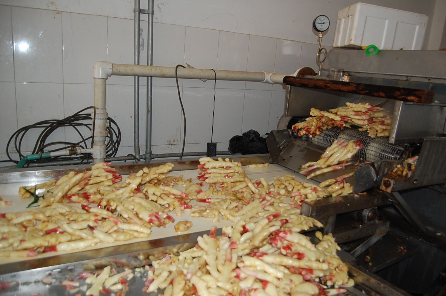 1709518265258054.jpg 洗姜.jpg